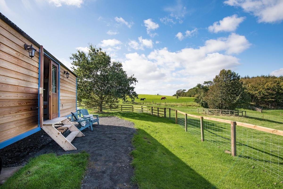 Cow Parsley Shepherd'S Hut Berwick Upon Tweed Exterior foto