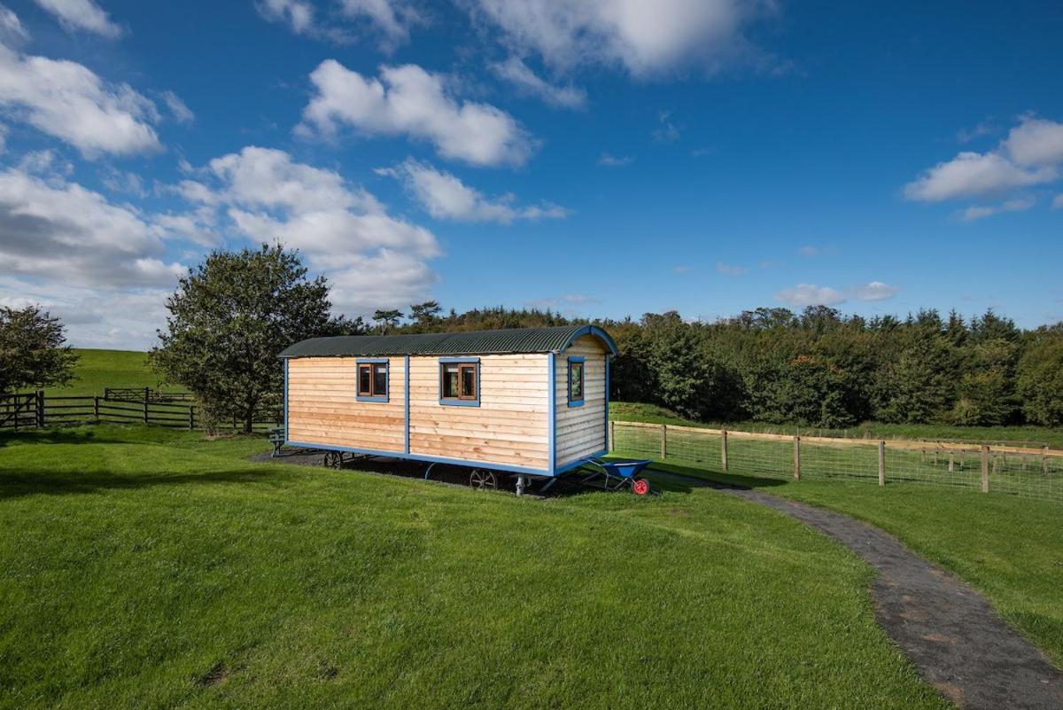 Cow Parsley Shepherd'S Hut Berwick Upon Tweed Exterior foto